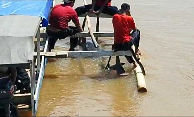 Personel tim Rescue Dinas Pemadam Kebakaran Kota Kendari bersama bersama warga mengevakuasi lumba-lumba jenis hidung botol yang terjebak di Kali Wanggu, Kelurahan Bende, Kecamatan Kadia, Kota Kendari, Provinsi Sulawesi Tenggara, Jumat (4/2/2022). Foto/rmh/bentaratimur.id