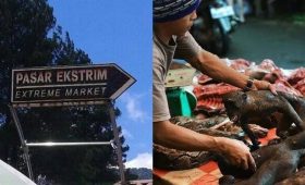 5 Kuliner Ekstrim Paling Laku Di Pasar Tomohon Manado