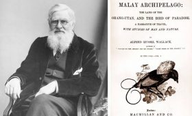 Satu Setengah Abad “The Malay Archipelago”: Sebuah Buku Yang Mengguncang Dunia Sains