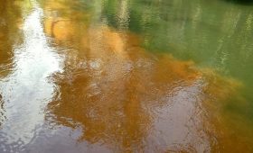 Sumber Air Bersih Masyarakat di 3 Desa Wawonii Tercemar 