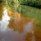 Sumber Air Bersih Masyarakat di 3 Desa Wawonii Tercemar 