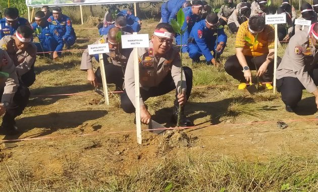 Wakapolda Sultra, Brigjen Pol Dwi Irianto menanam pohon mangrove di Teluk Kendari, Jalan Sultan Hasanuddin, Kelurahan Punggaloba, Kecamatan Kendari Barat, Kota Kendari, Jumat (18/8/2023). Foto/R. Hafid/bentaratimur.id
