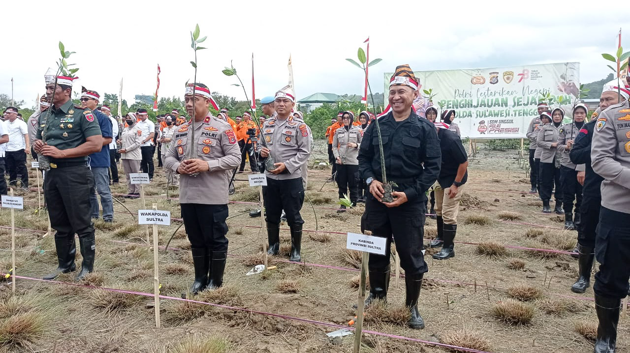 Jajaran Kepolisian Daerah (Polda) Sulawesi Tenggara (Sultra) bersama Forum Koordinasi Pimpinan Daerah (Forkopimda) Provinsi Sultra kembali melakukan penanaman bibit mangrove di kawasan Teluk Kendari, Rabu (23/8/2023). Foto/R. Hafid/bentaratimur.id