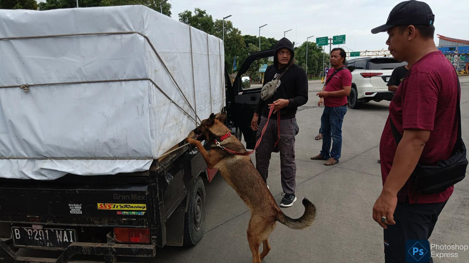 Direktorat Tindak Pidana Narkoba Bareskrim Polri melakukan Operasi Seaport Interdiction dengan melibatkan 6 ekor anjing K9 di Pelabuhan Bakauheni Lampung, selama 10 hari, dari tanggal 3 Maret 2024 sampai 12 Maret 2024. Foto/dokumen Humas Polri