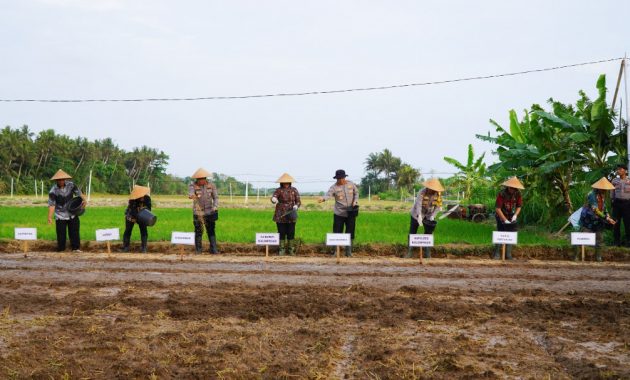 Kakorbinmas Baharkam Polri, Irjen Polisi Edy Murbowo bersama Penjabat Bupati Kulonprogo, Srie Nurkyatsiwi melakukan penanaman benih padi di Nglatek, Kelurahan Banaran, Kabupaten Kulon Progo, DIY, Kamis (31/10/2024). Foto/Humas Polri