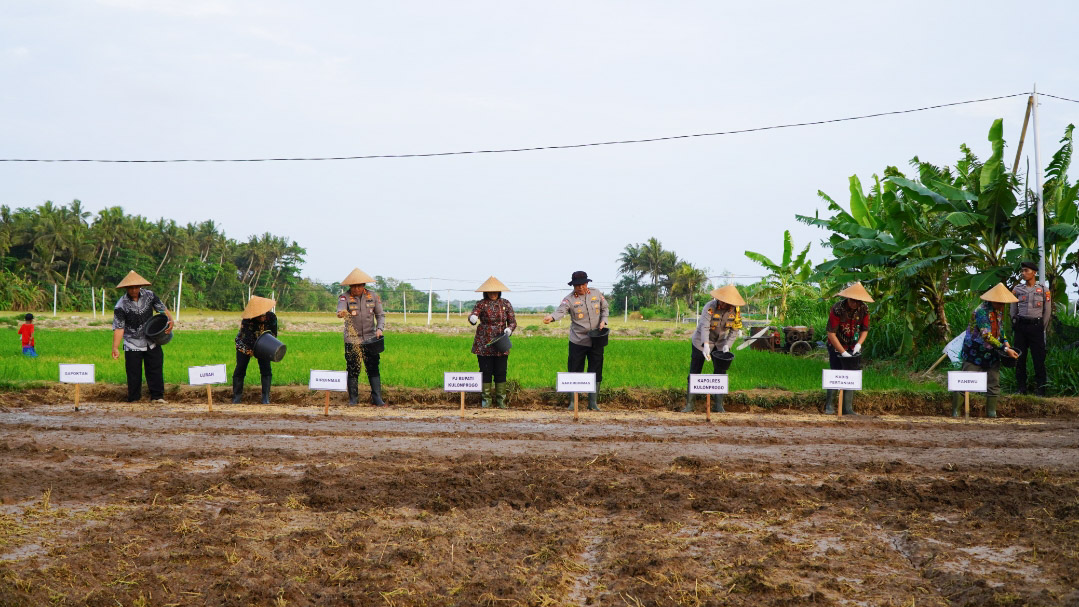 Kakorbinmas Baharkam Polri, Irjen Polisi Edy Murbowo bersama Penjabat Bupati Kulonprogo, Srie Nurkyatsiwi melakukan penanaman benih padi di Nglatek, Kelurahan Banaran, Kabupaten Kulon Progo, DIY, Kamis (31/10/2024). Foto/Humas Polri