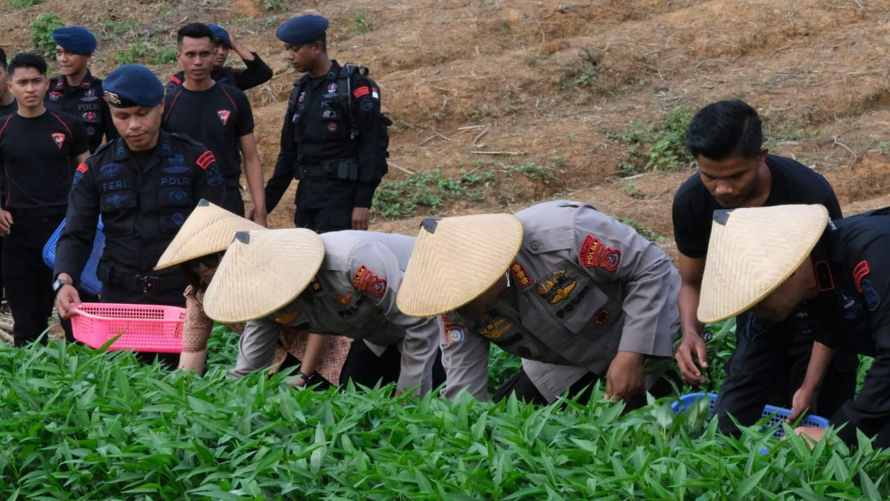 Polda Sulawesi Tenggara (Sultra) bersama Resimen II Pelopor Pasukan Brimob II resmi meluncurkan program ketahanan pangan di Pusat Ketahanan Pangan Polda Sultra dan Resimen II Pelopor Pasukan Brimob II, Rabu (6/11/2024). Foto/Bidhumas Polda Sultra